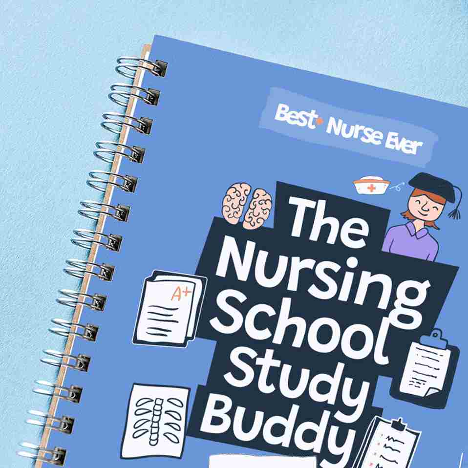 NURSING SCHOOL STUDY BUDDY – Nursing Notes Bundle